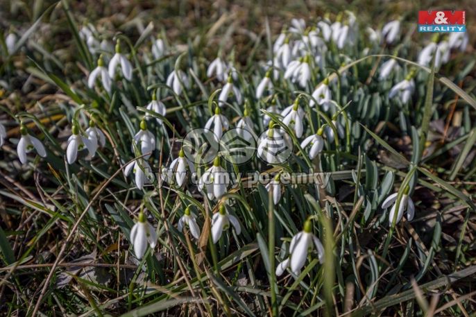 Prodej, Pozemek k bydlení, Olovnice