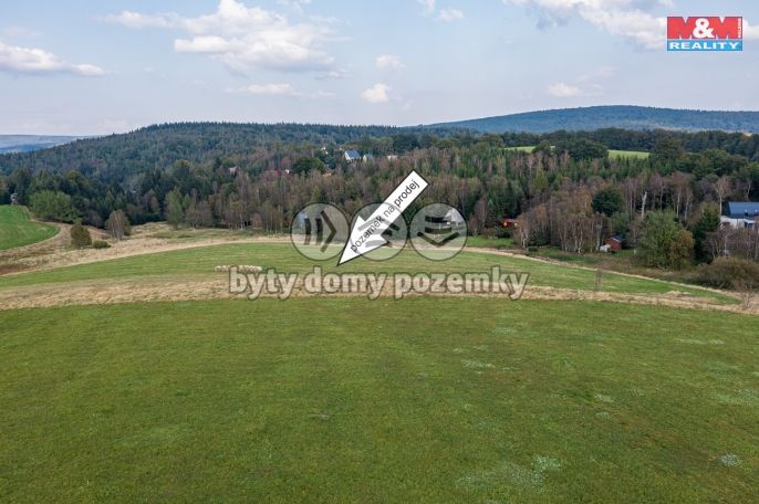 Prodej, Pole, Moldava