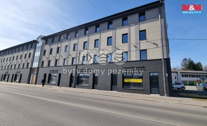 Pronájem, Kancelářský prostor, Český Těšín