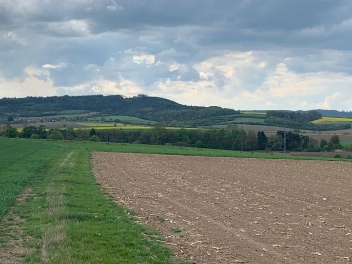 Prodej, Pole, Voděrady