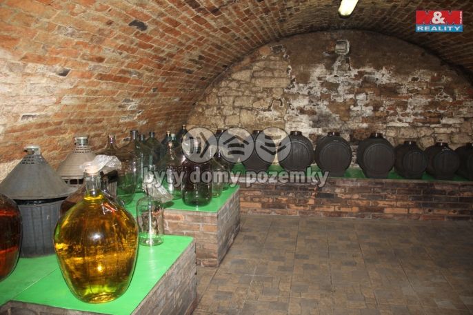 Prodej, Hotel, penzion, Březí