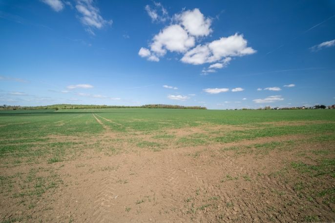 Prodej, Pole, Dobříč