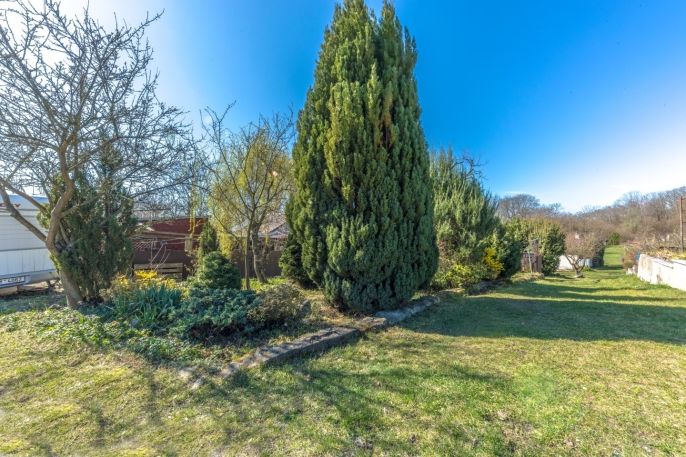 Prodej, Zahrada, Kosmonosy