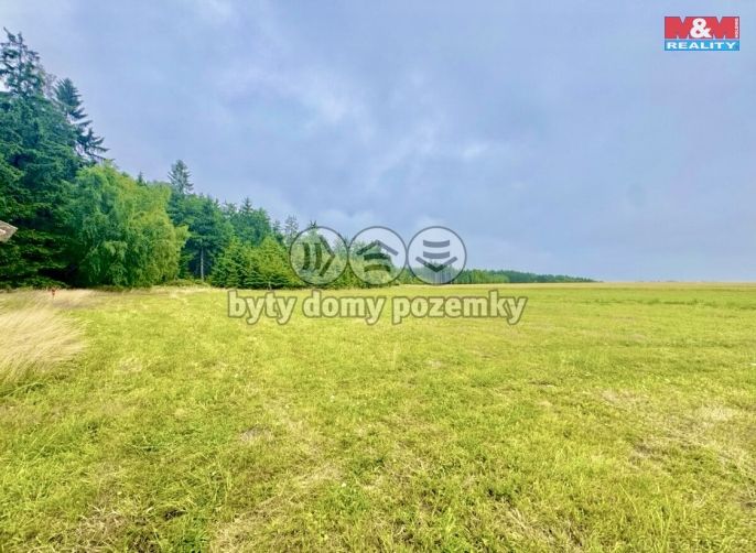 Prodej, Louka, Buková