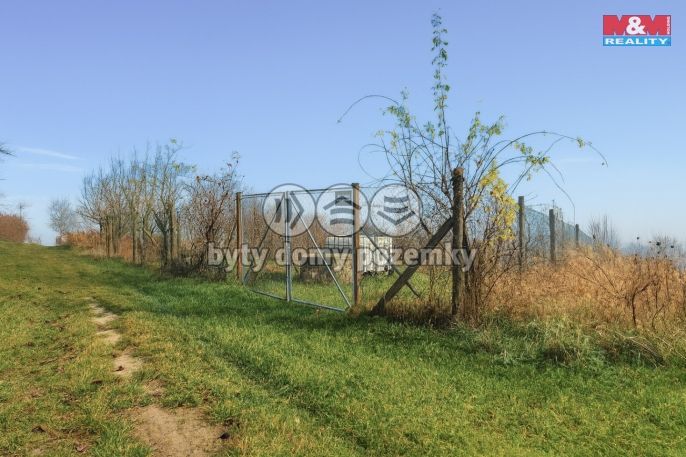 Prodej, Vinice, Bukovany