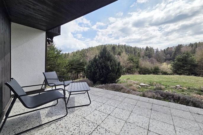 Pronájem, Chata, Nejdek