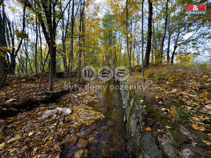 Prodej, Vodní plocha, Nové Město pod Smrkem