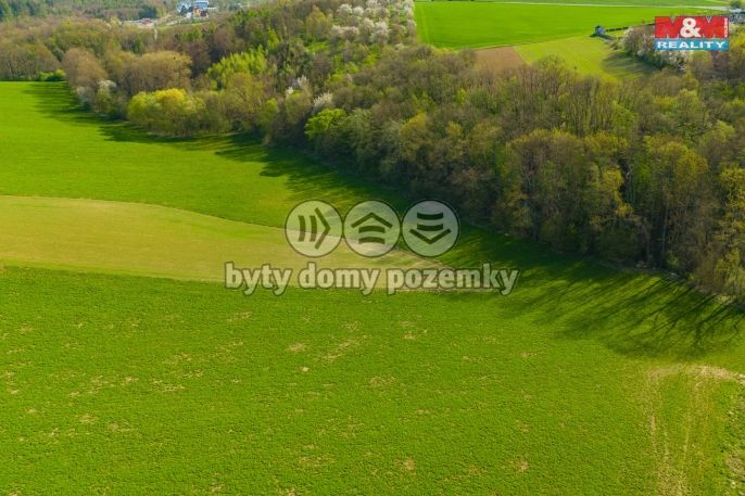 Prodej, Pole, Bílá Lhota