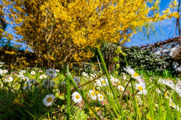 Prodej, Rodinný dům, Velké Meziříčí