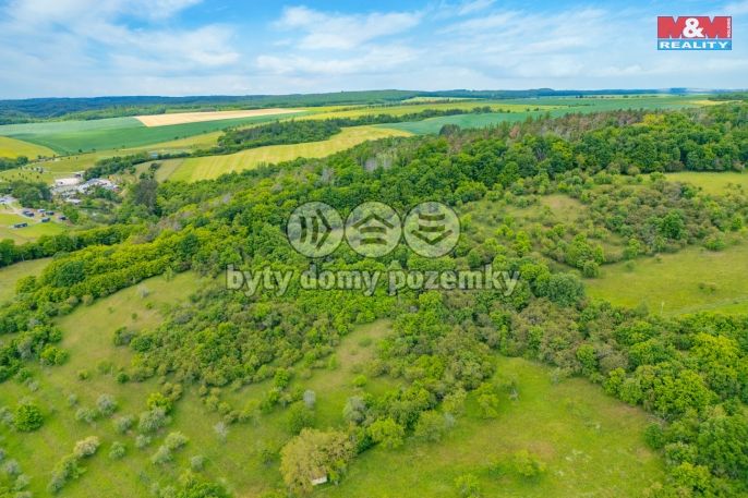 Prodej, Les, Chyňava