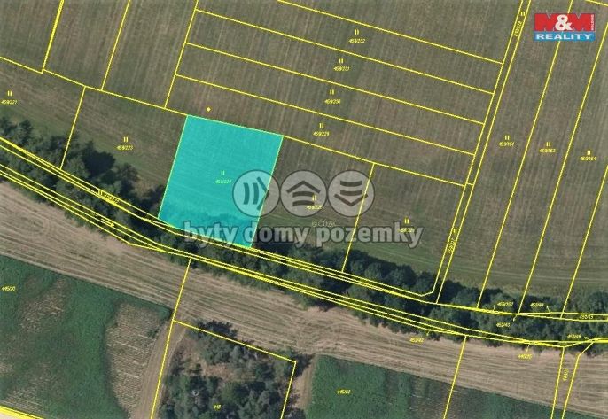 Prodej, Louka, Kratonohy