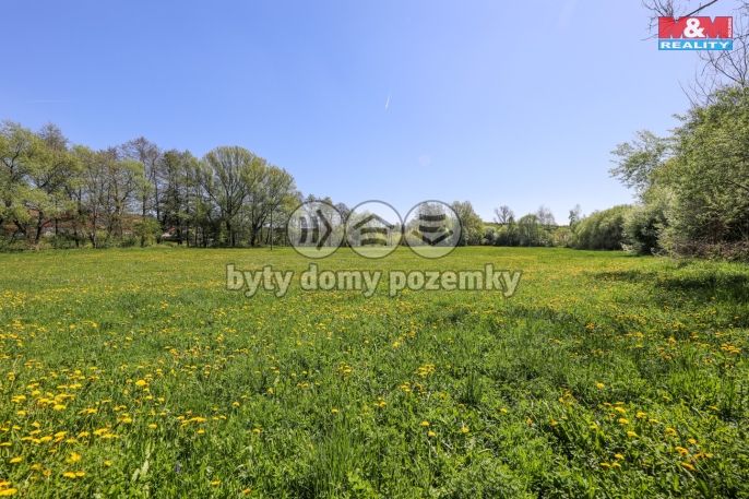 Prodej, Louka, Horní Bříza