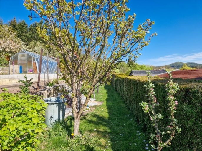 Prodej, Zahrada, Nový Bor