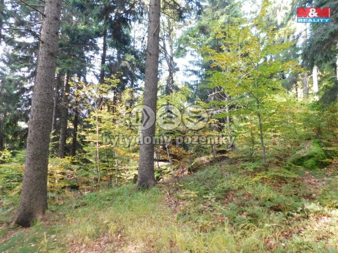 Prodej, Louka, Lučany nad Nisou