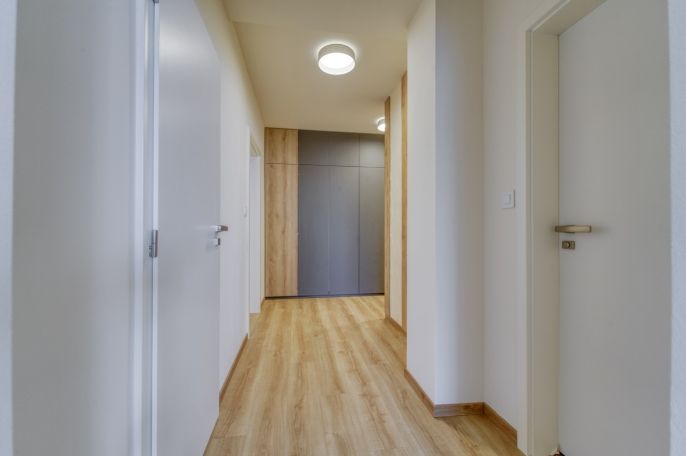 Pronájem, Byt 3+kk, Plzeň