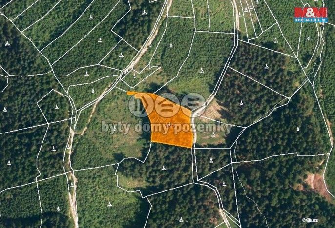 Prodej, Les, Lhota u Vsetína