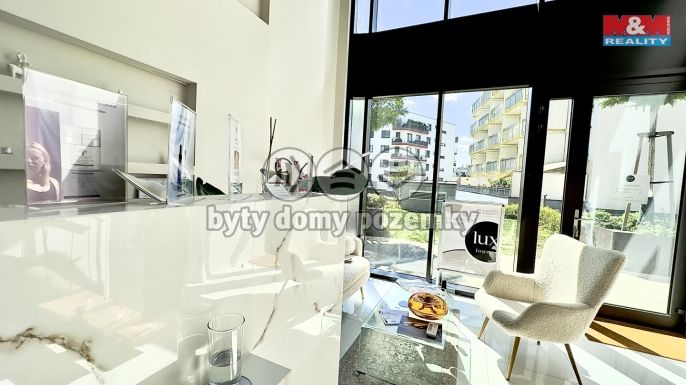 Pronájem, Obchod a služby, Praha