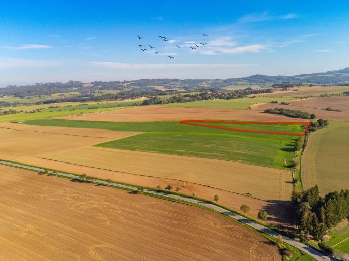 Prodej, Pole, Bystřice