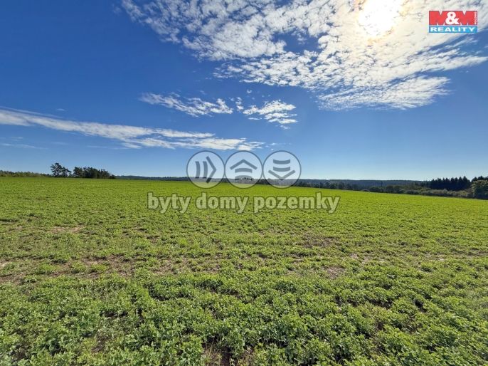 Prodej, Pole, Dobronice u Bechyně
