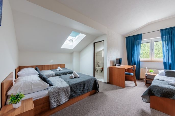 Prodej, Hotel, penzion, Chodov