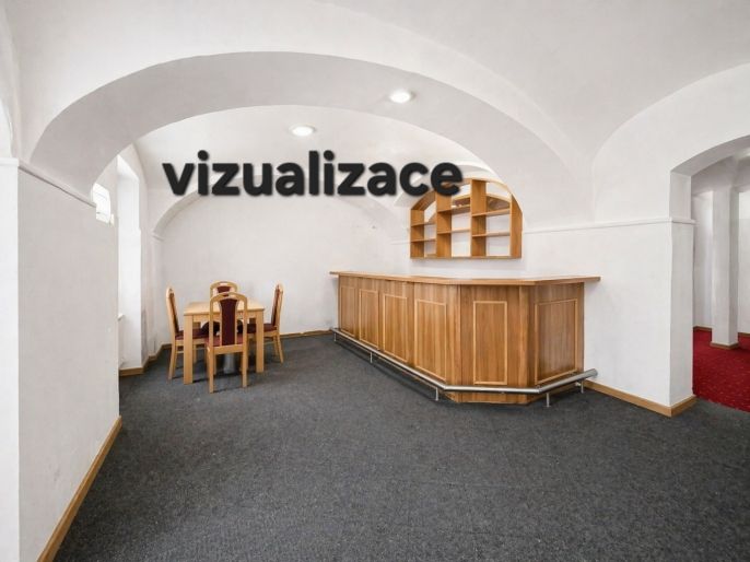 Pronájem, Obchod a služby, Plzeň