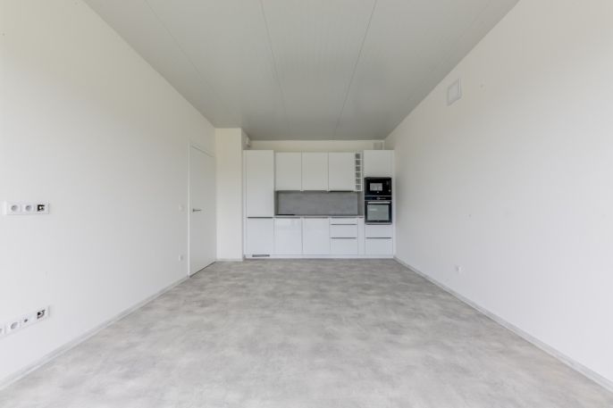 Pronájem, Ostatní, Mladá Boleslav