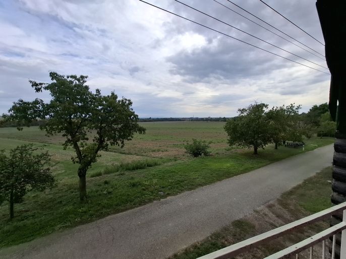 Prodej, Vinný sklep, Vlkoš