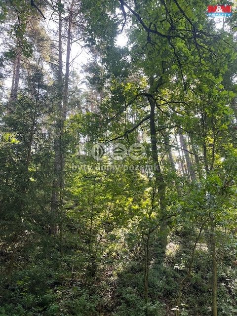 Prodej, Les, Mírová pod Kozákovem