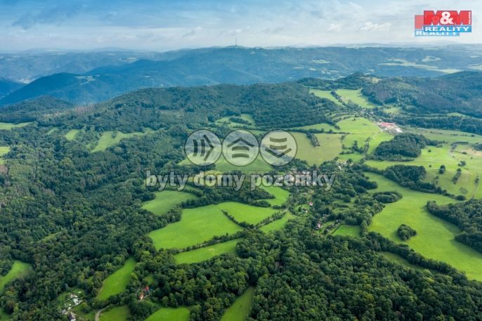 Prodej, Les, Homole u Panny