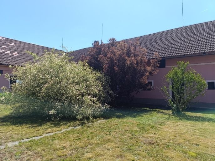 Prodej, Rodinný dům, Hřibiny-Ledská