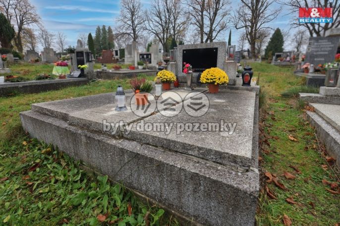 Prodej, Ostatní, Tachov