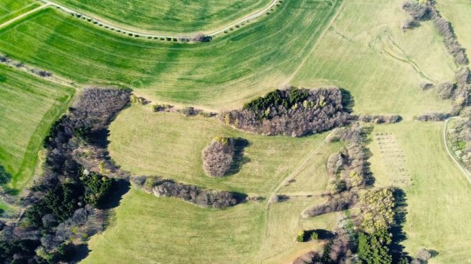 Prodej, Les, Pastviny