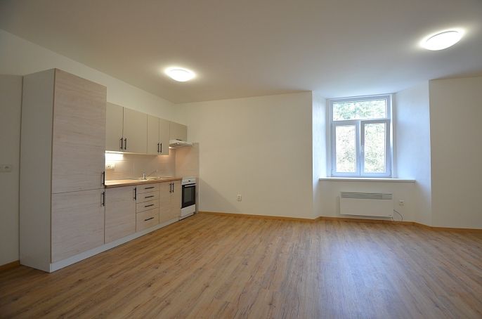 Pronájem, Byt 1+kk, Vlčice