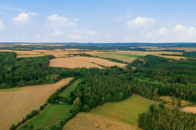 Prodej, Les, Břežany