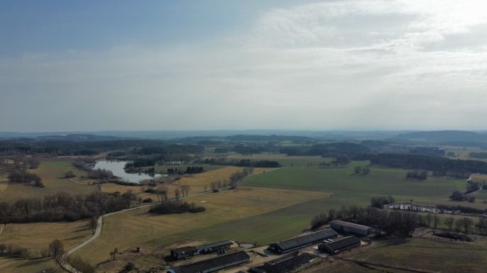 Prodej, Louka, Březí