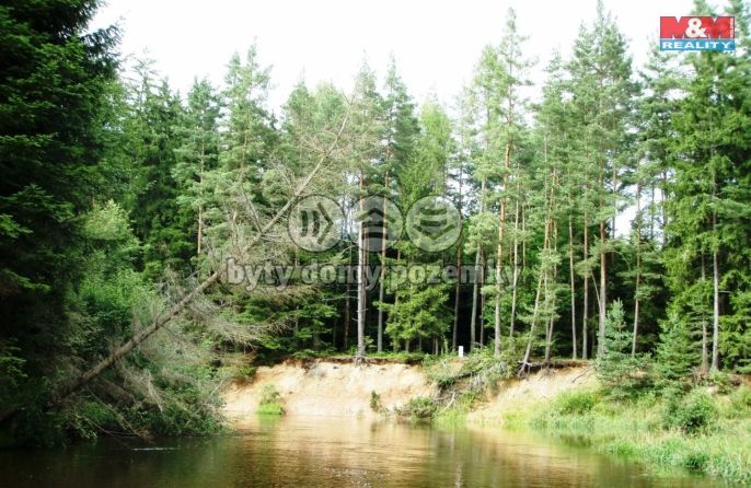 Prodej, Vodní plocha, Dvory nad Lužnicí