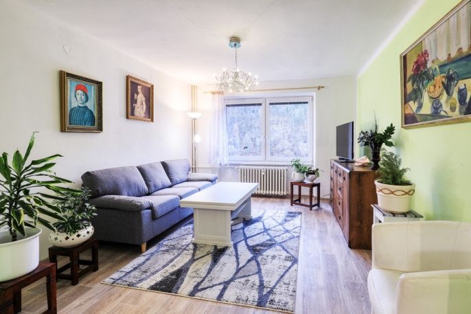 Pronájem, Byt 2+1, Solenice