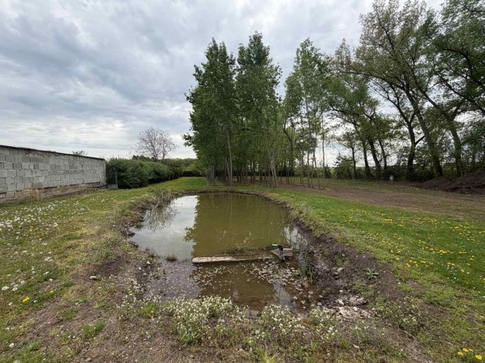 Prodej, Zahrada, Otvice
