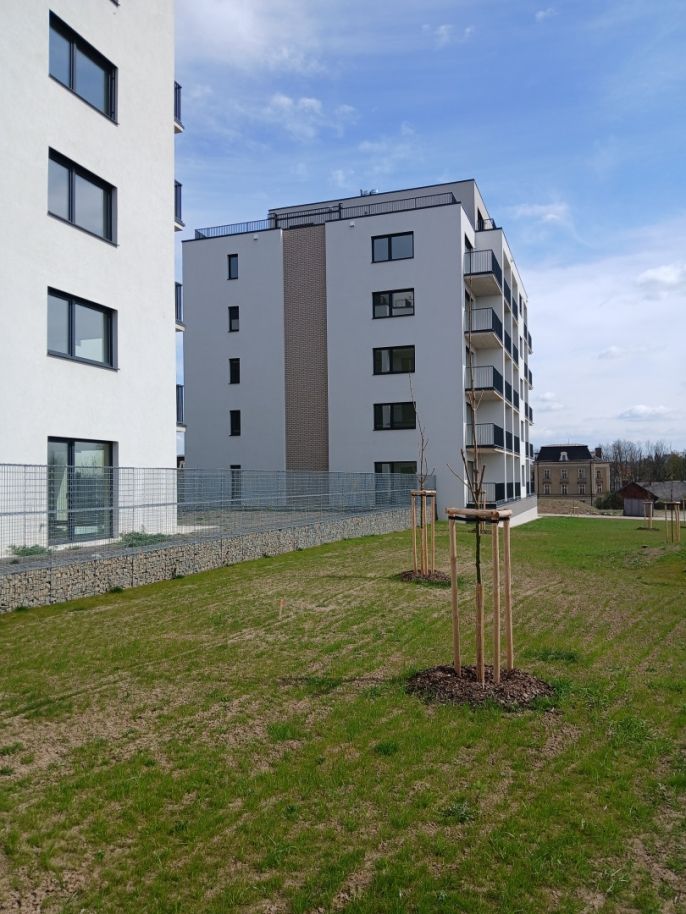 Pronájem, Byt 1+kk, Opava