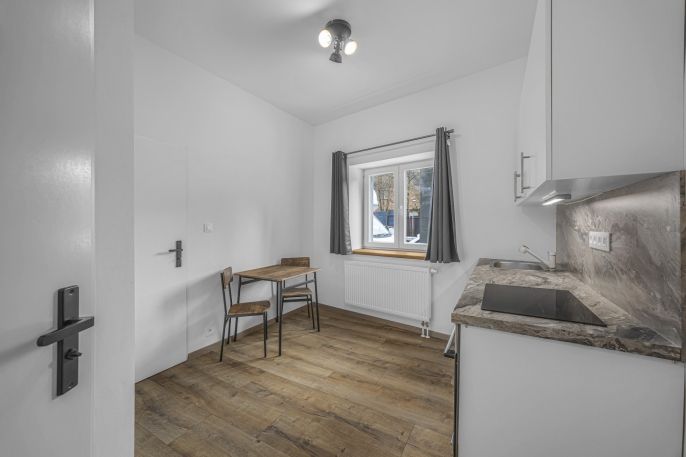 Pronájem, Byt 1+1, Všenory