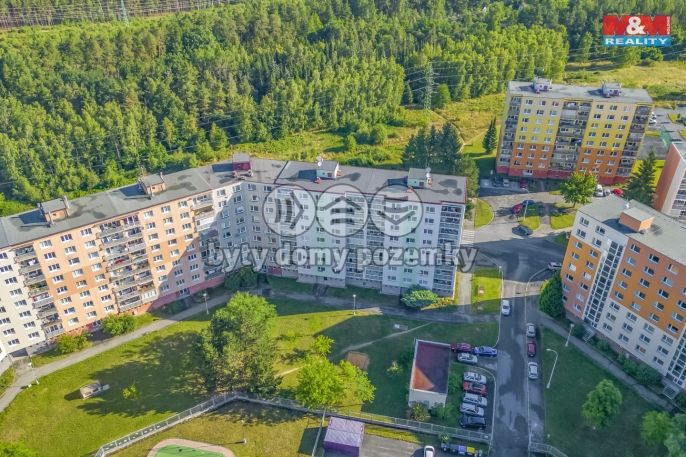 Pronájem, Byt 1+1, Plzeň