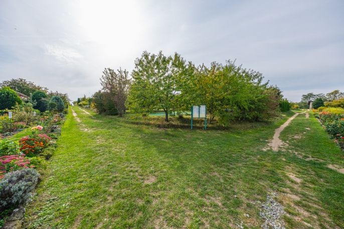 Prodej, Zahrada, Mladá Boleslav