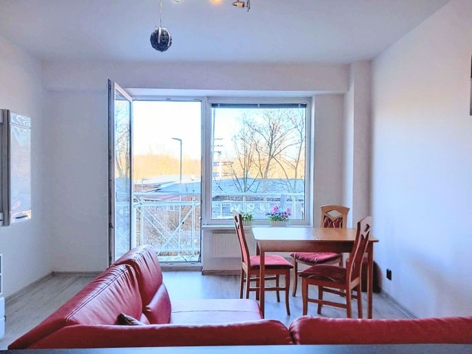 Pronájem, Byt 2+kk, Ostrov