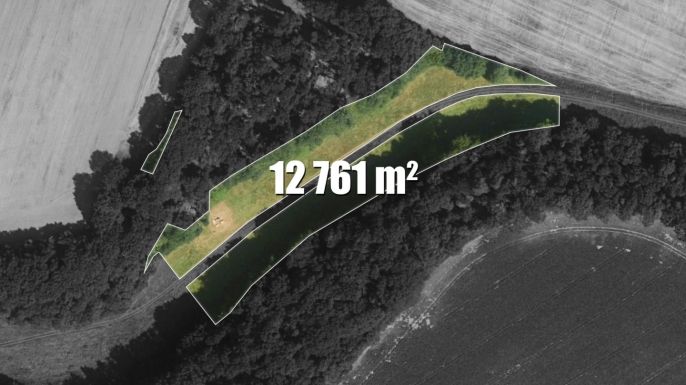 Prodej, Louka, Tachov