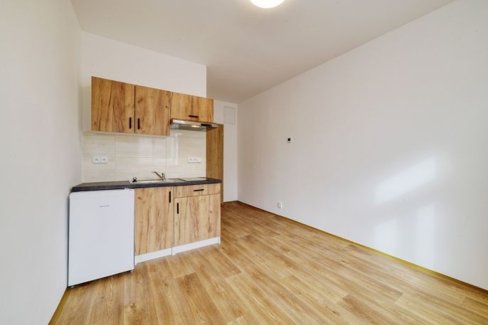 Pronájem, Byt 1+kk, Mariánské Lázně