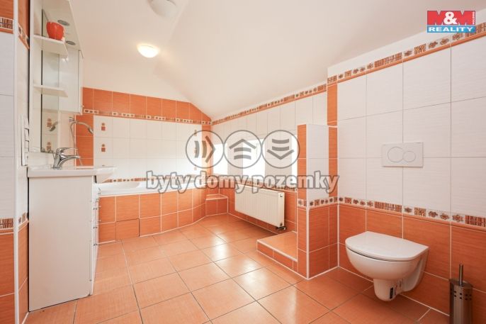 Prodej, Rodinný dům, Velký Týnec