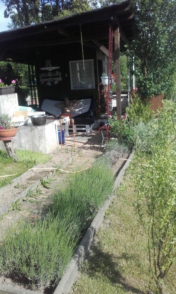 Prodej, Zahrada, Havířov