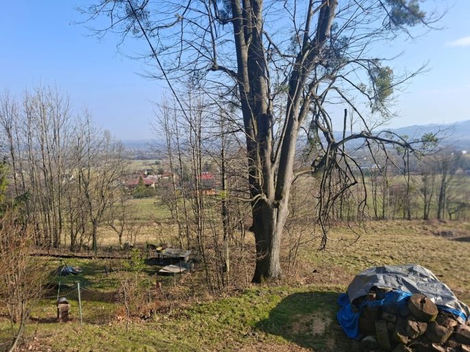 Prodej, Chata, Třinec