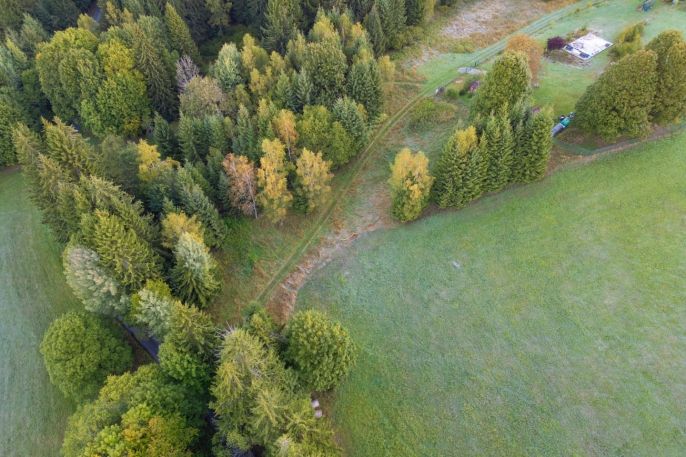 Prodej, Ostatní, Lesná