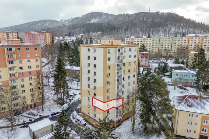 Prodej, Byt 2+1, Karlovy Vary